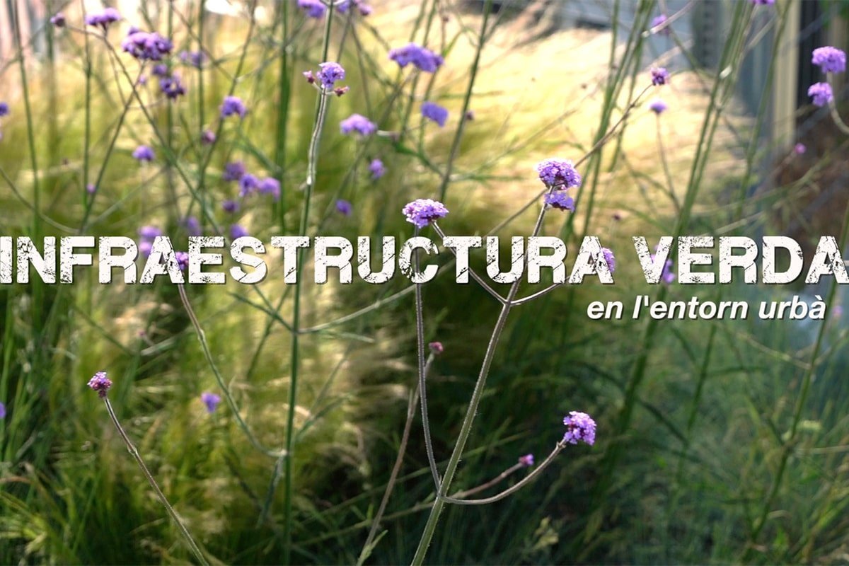 Infraestructura Verda