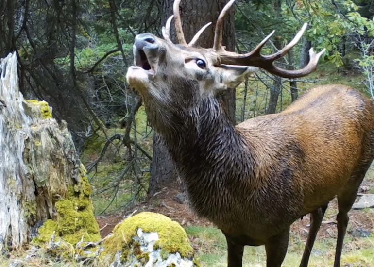 carta europea de turisme sostenible cets