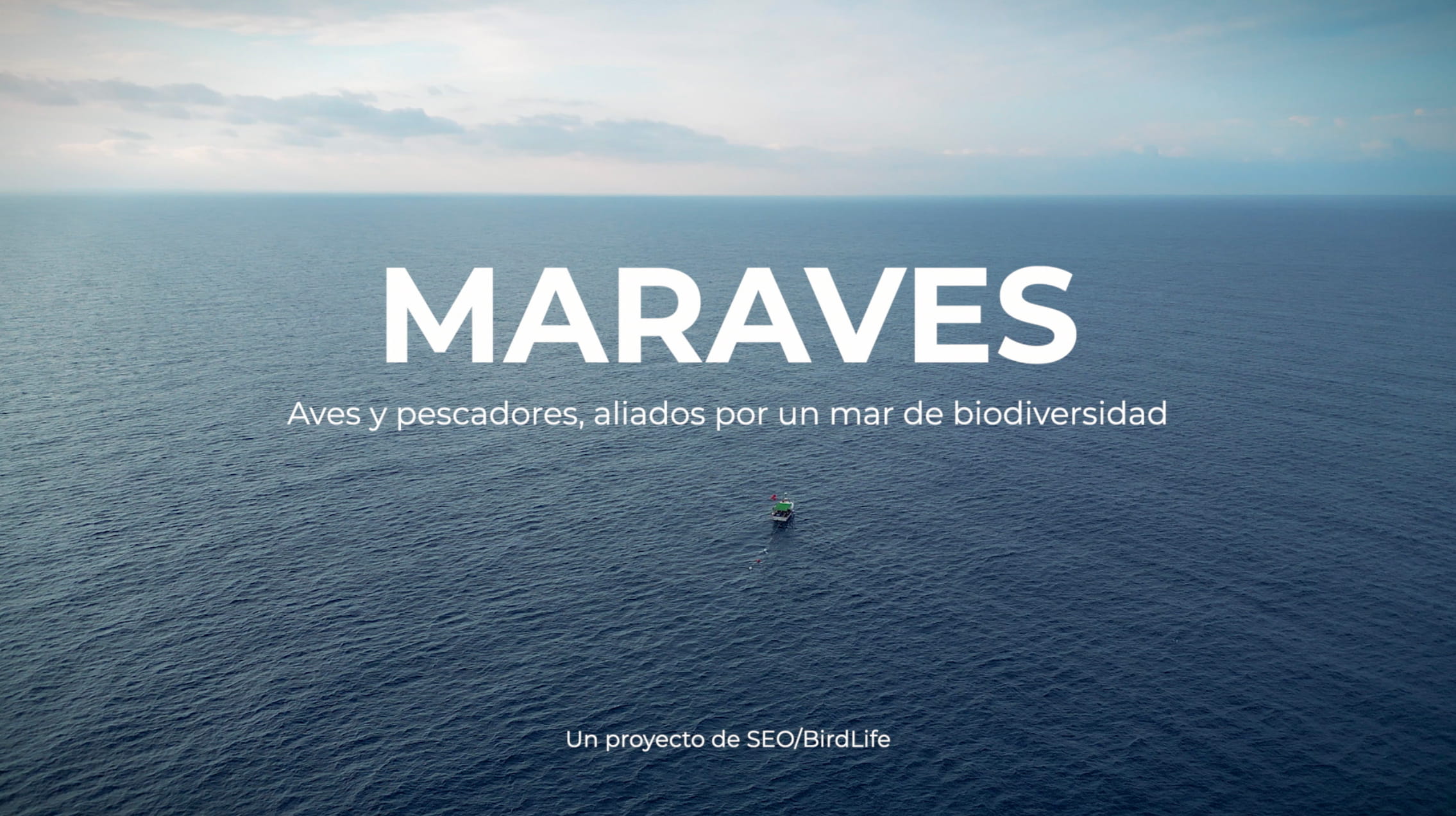 maraves